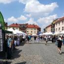 Sudecki Festiwal Minerałów 2018 in Lubań Śl (11)